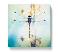 Dragonfly Double Exposure Canvas Print | Gallery Wrapped 30mm Frame Wall Art | 20x20 inches | Ready to Hang | Modern Animals Picture | Living Room Bedroom Lounge Office