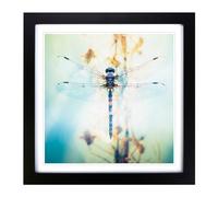 Dragonfly Double Exposure Framed Print | 18x18 Inch Black Framed Wall Art | Ready to Hang | Modern Animal Picture | Living Room Bedroom Lounge Office