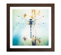 Dragonfly Double Exposure Framed Print | 18x18 Inch Walnut Framed Wall Art | Ready to Hang | Modern Animal Picture | Living Room Bedroom Lounge Office