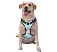 Dragonfly Floral Pattern Dog Harness - Lightweight,Soft,Adjustable Small Harness and Leash Set, Suitable for Puppy Small and Medium-Sized Dog-Small