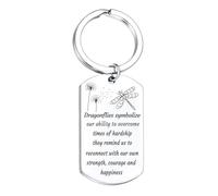 Dragonfly Gift for Women Dragonfly Lover Gifts Inspirational Dragonfly Gifts for Friends Dragonfly Keychain Dragonfly Jewelry Encouragement Gifts for Daughter Son