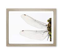 Dragonfly Insect No.1 Modern Framed Print | A2 Oak Framed Wall Art | Ready to Hang | Modern Animal Picture | Living Room Bedroom Lounge Office