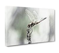 Dragonfly Insect No.4 Canvas Print | Gallery Wrapped 30mm Frame Wall Art | 30x20 inches | Ready to Hang | Modern Animals Picture | Living Room Bedroom Lounge Office