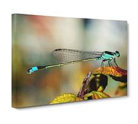 Dragonfly Insect No.6 Canvas Print | Gallery Wrapped 30mm Frame Wall Art | 30x20 inches | Ready to Hang | Modern Animals Picture | Living Room Bedroom Lounge Office