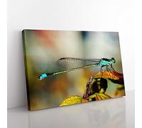 Dragonfly Insect No.6 Modern Canvas Wall Art Print Ready to Hang, Framed Picture for Living Room Bedroom Home Office Décor, 60x40 cm (24x16 Inch)