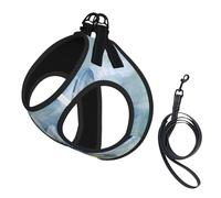 Dragonfly,Pet Harness,Adjustable Reflective Dog Harness,Pet Leash Vest,M