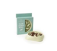 Dragonfly, Slow Down Slow Feeder Dog Bowl (Green)