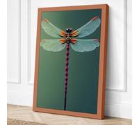 Dragonfly Study Botanical Canvas Wall Art Print 18x12 Inch (46 x 30 cm)