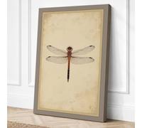 Dragonfly Study Botanical Canvas Wall Art Print 18x12 Inch (46 x 30 cm)