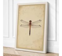 Dragonfly Study Botanical Canvas Wall Art Print 24x16 Inch (61 x 41 cm)