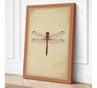 Dragonfly Study Botanical Canvas Wall Art Print 36x24 Inch (91 x 61 cm)