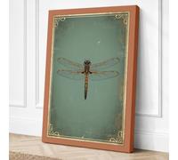 Dragonfly Study Vintage Canvas Wall Art Print 30x20 Inch (76 x 51 cm)