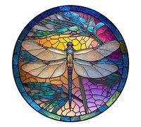 Dragonfly Suncatcher, Wall Art Dragonfly Wall Decorations with Openwork Pattern for Garden Wall Decorations Outdoor Hanging Home Decoration Wall Art, Stained Acrylic Window Panel(C)