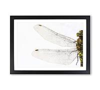 Dragonfly Vol.1 Painting Framed Print | A2 Black Framed Wall Art | Ready to Hang | Modern Animal Picture | Living Room Bedroom Lounge Office
