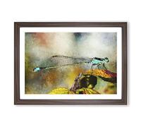 Dragonfly Vol.3 Painting Framed Print | A2 Walnut Framed Wall Art | Ready to Hang | Modern Animal Picture | Living Room Bedroom Lounge Office