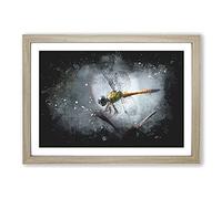 Dragonfly Vol.5 Paint Splash Framed Print | A2 Oak Framed Wall Art | Ready to Hang | Modern Animal Picture | Living Room Bedroom Lounge Office