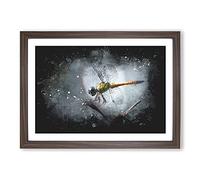 Dragonfly Vol.5 Paint Splash Framed Print | A2 Walnut Framed Wall Art | Ready to Hang | Modern Animal Picture | Living Room Bedroom Lounge Office