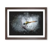 Dragonfly Vol.5 Paint Splash Modern Art Framed Wall Art Print, Ready to Hang Picture for Living Room Bedroom Home Office Décor, Walnut A2 (64 x 46 cm)