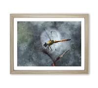 Dragonfly Vol.5 Painting Modern Art Framed Print | A2 Oak Framed Wall Art | Ready to Hang | Modern Animal Picture | Living Room Bedroom Lounge Office