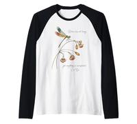 Dragonfly with Famous Quote Ancient Chinese Legend Lao Tzu Raglan Baseball Tee