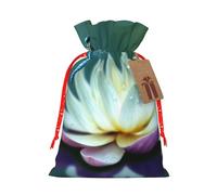 Dragonfly with Water Lily Christmas Gift Bags with Tags & Ribbon Ties, Personalized Santa Sack Xmas Treat Pouch Party Favor Bags Drawstring Christmas Sacks for Holiday Presents Storage Medium