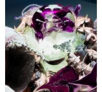 Dragongirl Hot Blue (CD) Album