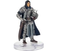 Dragonlance: Shadow of the Dragon Queen - Darrett Highwater (#35)