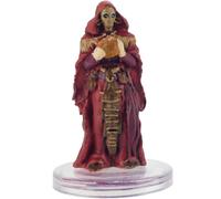 Dragonlance: Shadow of the Dragon Queen - Demelin (#38)