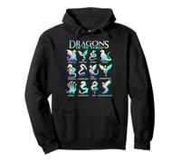 Dragons Of The World Types of Dragons Rainbow Dragon Lover Pullover Hoodie