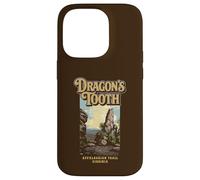 Dragons Tooth Virginia Appalachian Trail Vintage WPA Style Case for iPhone 14 Pro