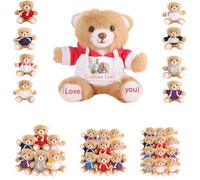 DRAJOIN 6 to 24 Packs Custom Teddy Bears Bulk with Photo Text, Personalised Valentines Bears Bulk Small Stuffed Animal as Personalised Valentine Gifts for Class on Valentines' Day Christmas, 4.7inch