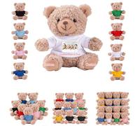 DRAJOIN 6 to 24 Pcs Personalised Teddy Bears Bulk with Photo Text, Custom Small Teddy Bears Bulk Bear Stuffed Animal as Valentines Day Gifts for Class on Valentines' Day Christmas Birthday, 4.3inch