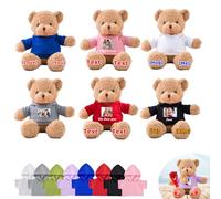 DRAJOIN Custom Teddy Bears Bulk 6 Pcs 12 inch, Personalised Small Teddy Bear Bulk Stuffed Animal Plush Toys with Name Photo as Back to School Gifts for Class Party Favor Class Gift from Teacher