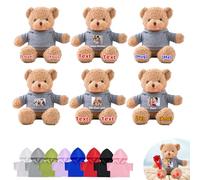 DRAJOIN Custom Teddy Bears Bulk 6 Pcs 16 inch, Personalised Small Teddy Bear Bulk Stuffed Animal Plush Toys with Name Photo as Back to School Gifts for Class Party Favor Class Gift from Teacher