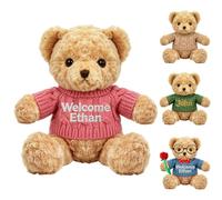 DRAJOIN Personalised Embroidered Teddy Bear with Custom Name Sweater