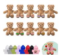 DRAJOIN Personalised Teddy Bears Bulk 10 Pcs 10 inch, Custom Bulk Teddy Bears Small Stuffed Animal with Text Photo as Personalised Gifts for Valentine Back to School Gifts Class Gift from Teacher