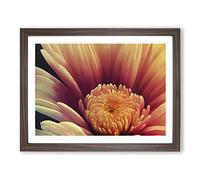 Dramatic Flower Framed Print | A3 Walnut Framed Wall Art | Ready to Hang | Modern Floral Picture | Living Room Bedroom Lounge Office