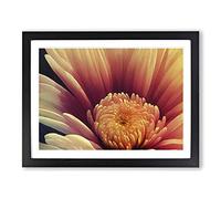 Dramatic Flower H1022 Framed Print for Living Room Bedroom Home Office Décor, Wall Art Picture Ready to Hang, Black A4 Frame (34 x 25 cm)
