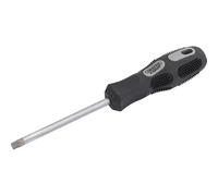 Draper Expert Security Torx Screwdriver T40 115mm