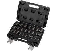 Draper 25 Piece 3/8" Drive Bolt Extractor Set Imperial 3/8"