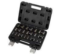 Draper 28196 Imperial Bolt Extractor Set, 3/8" Sq. Dr. (25 Piece)