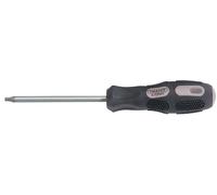 Draper Expert Torx Screwdriver T25 100mm