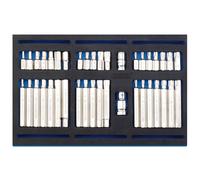 Draper Screwdriver Insert Bit Set (40 Piece) - Chrome