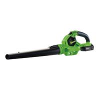 D20 20V Leaf Blower, 1 x 2.0Ah Battery, 1 x Charger