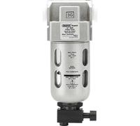Draper 1/4" BSP Filter Unit