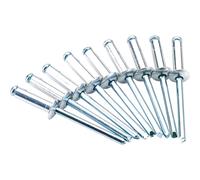 Draper Blind Rivets, 4.8 x 16mm (50 Piece)