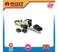 Draper D20 40V Chainsaw, 2 x 4.0Ah Batteries, 1 x Fast Charger 30903