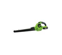 Draper D20 Garden Leaf Blower Set