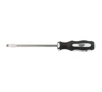 Draper Expert 150x6.5mmplain P/Thru S/Driver - 35183