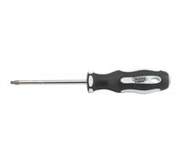 Draper Expert Torx Screwdriver T25 100mm
